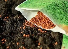 种子公司名称大全简单大气(精选280个)