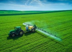 有创意的种业公司名字(精选280个)