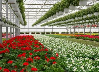 花卉种植取名园艺公司(精选260个)