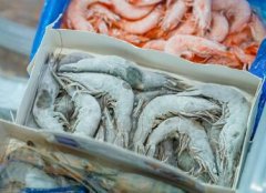 冷冻食品公司名字大全免费(精选260个)