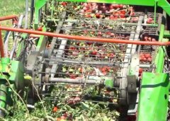 果蔬机械公司起名大全寓意好(精选200个)