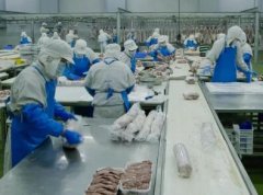 屠宰场起名字大全集(精选240个)