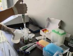 食品检测公司取名大全(精选240个)