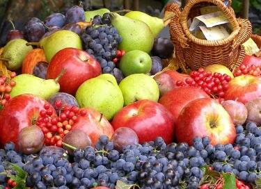 好听的生鲜水果公司名字大全(精选240个)