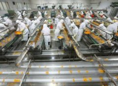 好听的食品加工公司名字大全(精选260个)