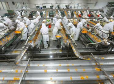 好听的食品加工公司名字大全(精选260个)