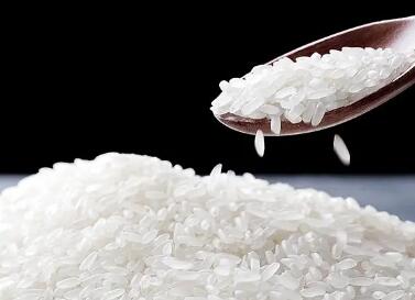 好听的米面公司名字大全(精选200个)