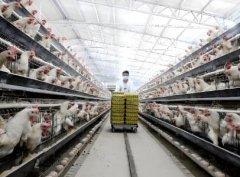 个人养殖场起名字大全(精选200个)